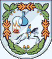 Wappen Altenfeld